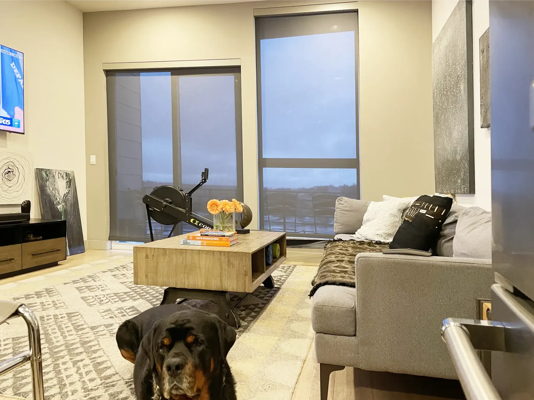 Motorized solar shade lowered over a sliding glass door in a Seattle living room with a dog nearby