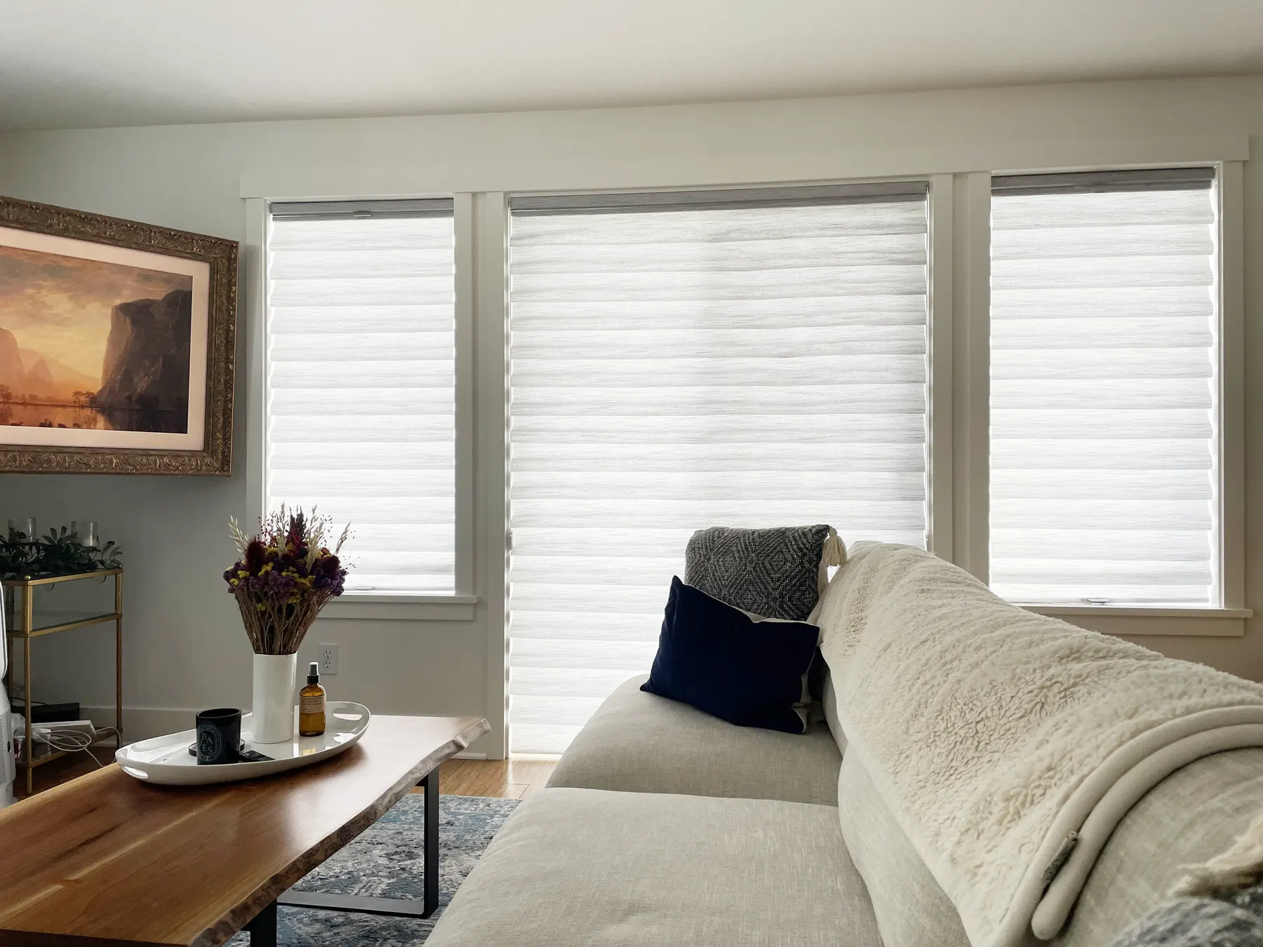 Roman Shades for a Living Room Windows & Sliding Glass Door in Madison Park, Seattle